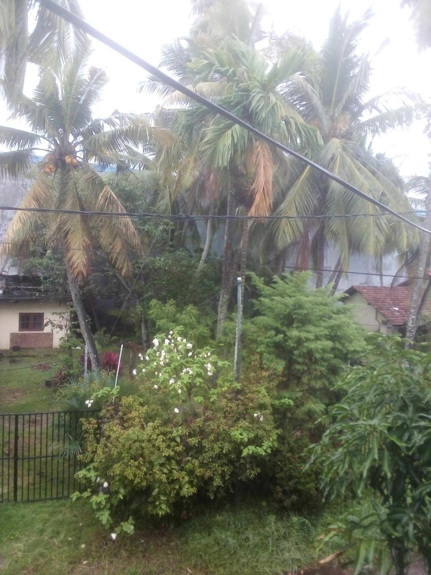 Sunrise City Palace Negombo Room photo